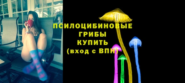 МДПВ Алзамай