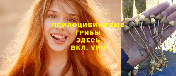 МДПВ Алзамай