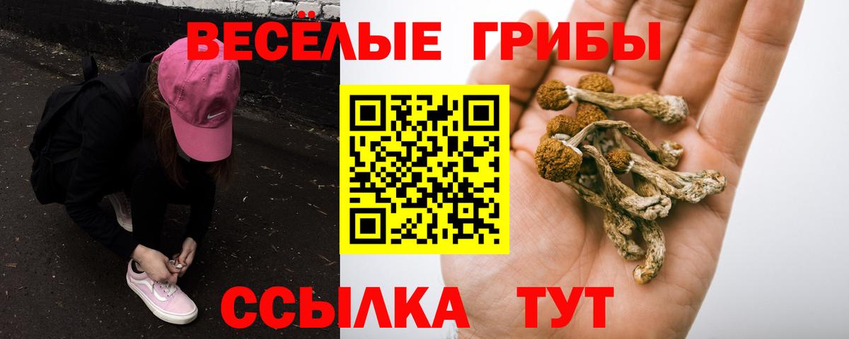 Галлюциногенные грибы GOLDEN TEACHER  Вход с VPN  Нарьян-Мар  цены   Псилоцибиновые грибы ЛСД 